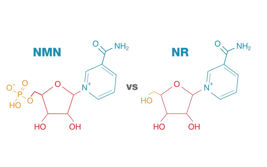 Chemical structure diagram comparing NMN and NR molecules