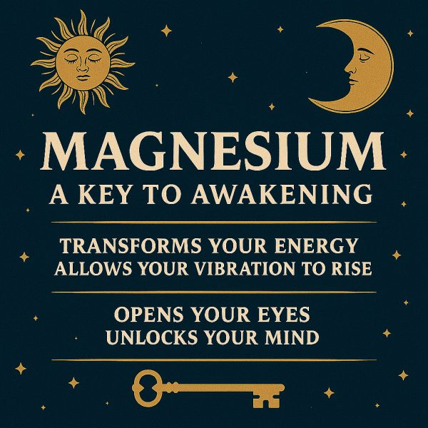 Sound Bath: A Deep Reset with infrared & magnesium - Image 3