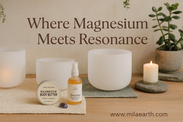 Sound Bath: A Deep Reset with infrared & magnesium - Image 4