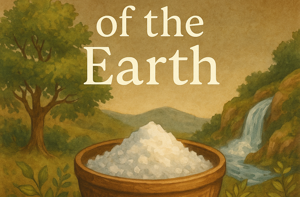 The Salt of the Earth: a wooden bowl of magnesium flakes in a green valley with a waterfall