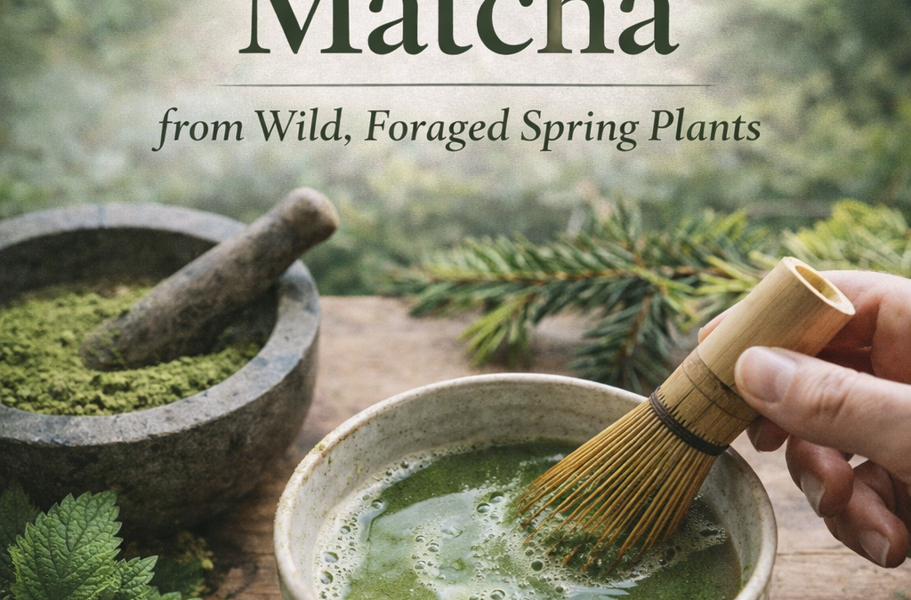 How to make a West Coast matcha from wild foraged spring plants, with a bowl and bamboo whisk