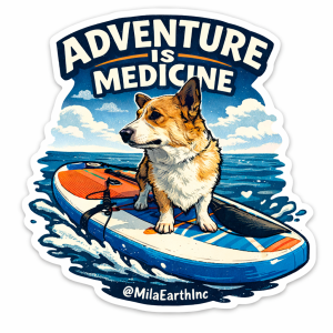 Corgi : Adventure is Medicine
