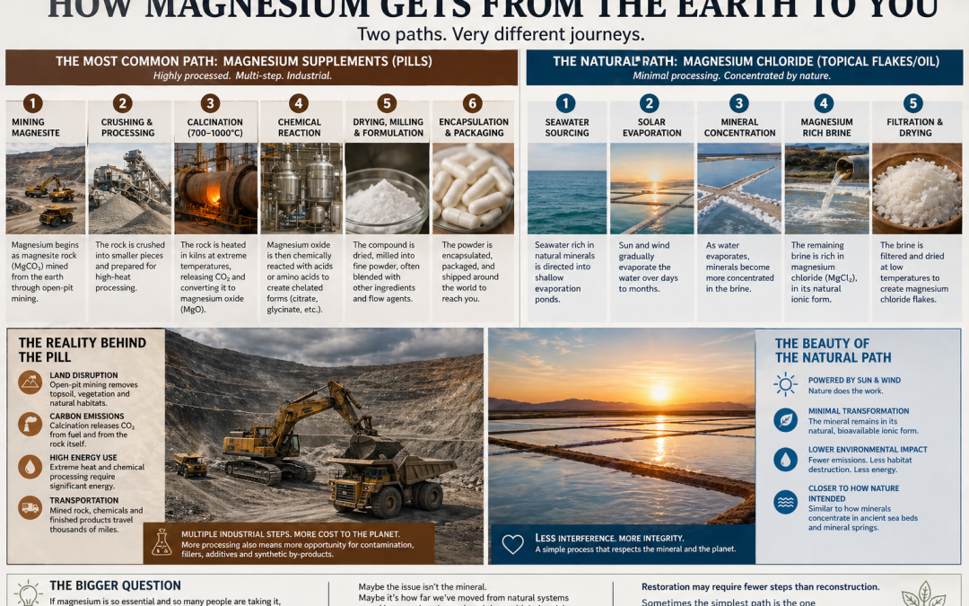 Infographic comparing how magnesium supplements and magnesium chloride get from the earth to you